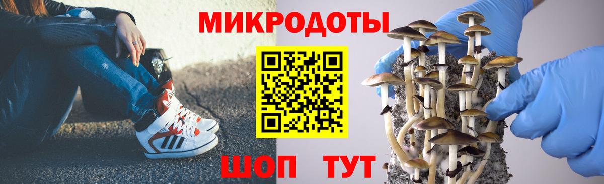 Галлюциногенные грибы прущие грибы  Вход с VPN  где купить наркоту  Псилоцибиновые грибы Magic Shrooms  Мытищи 